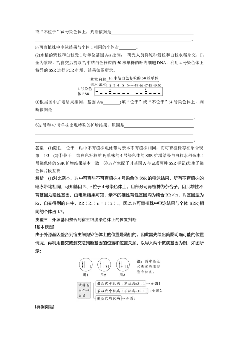 第五单元　专题突破7　探究不同对基因在常染色体上的位置_2025年新高考资料_一轮复习_2025大一轮复习讲义+课件（完结）_2025大一轮复习讲义生物教师用书Word版文档整书