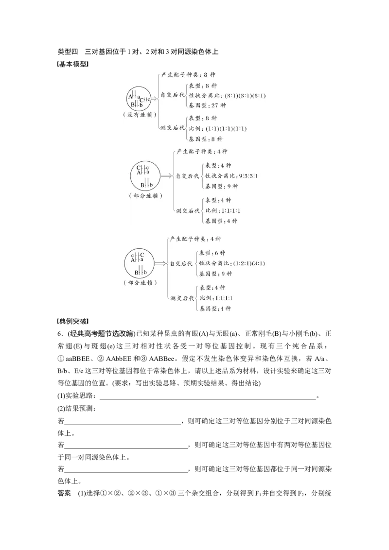 第五单元　专题突破7　探究不同对基因在常染色体上的位置_2025年新高考资料_一轮复习_2025大一轮复习讲义+课件（完结）_2025大一轮复习讲义生物教师用书Word版文档整书
