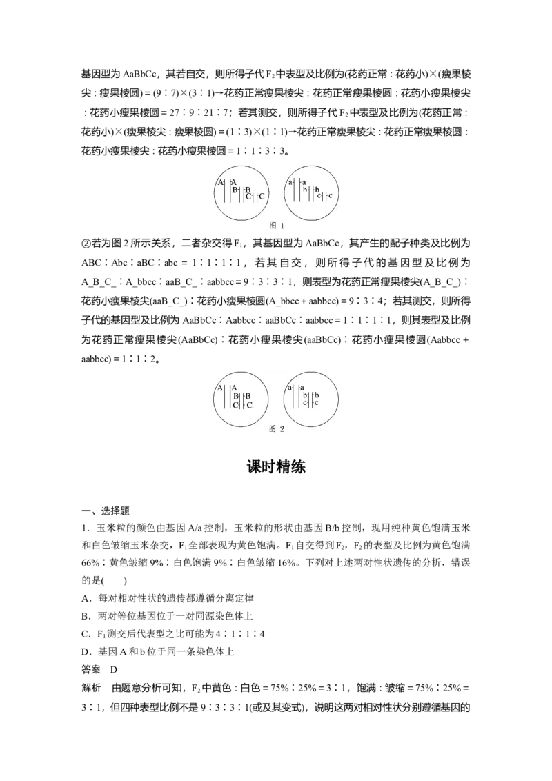 第五单元　专题突破7　探究不同对基因在常染色体上的位置_2025年新高考资料_一轮复习_2025大一轮复习讲义+课件（完结）_2025大一轮复习讲义生物教师用书Word版文档整书