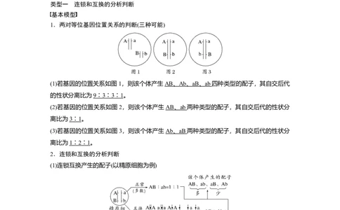 第五单元　专题突破7　探究不同对基因在常染色体上的位置_2025年新高考资料_一轮复习_2025大一轮复习讲义+课件（完结）_2025大一轮复习讲义生物教师用书Word版文档整书