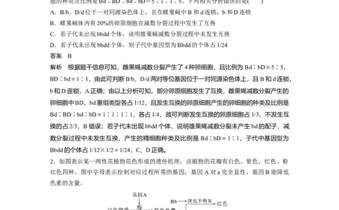 第五单元　专题突破7　探究不同对基因在常染色体上的位置_2025年新高考资料_一轮复习_2025大一轮复习讲义+课件（完结）_2025大一轮复习讲义生物教师用书Word版文档整书