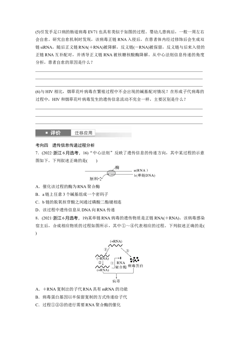 第六单元　第31课时　基因的表达_2025年新高考资料_一轮复习_2025大一轮复习讲义+课件（完结）_2025大一轮复习讲义生物学生用书Word版文档整书_2025大一轮复习讲义