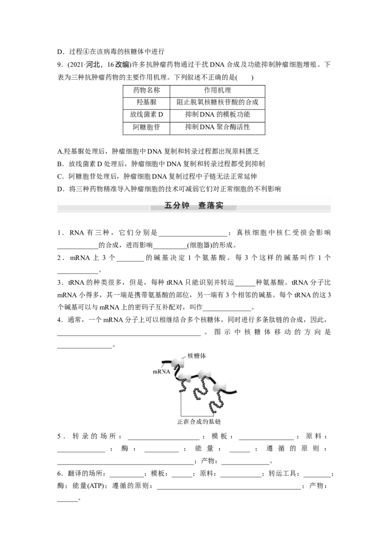 第六单元　第31课时　基因的表达_2025年新高考资料_一轮复习_2025大一轮复习讲义+课件（完结）_2025大一轮复习讲义生物学生用书Word版文档整书_2025大一轮复习讲义