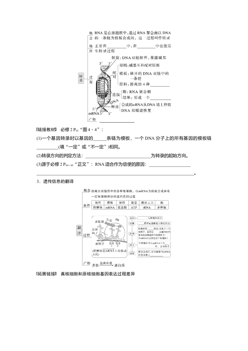 第六单元　第31课时　基因的表达_2025年新高考资料_一轮复习_2025大一轮复习讲义+课件（完结）_2025大一轮复习讲义生物学生用书Word版文档整书_2025大一轮复习讲义