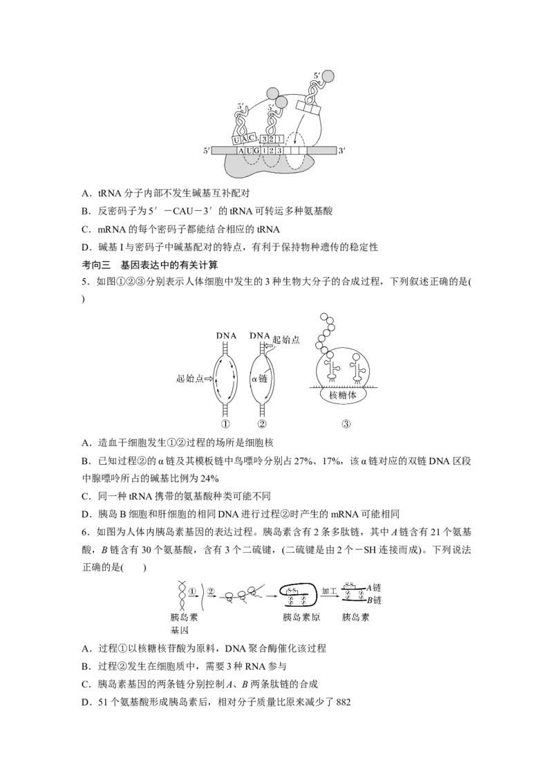 第六单元　第31课时　基因的表达_2025年新高考资料_一轮复习_2025大一轮复习讲义+课件（完结）_2025大一轮复习讲义生物学生用书Word版文档整书_2025大一轮复习讲义