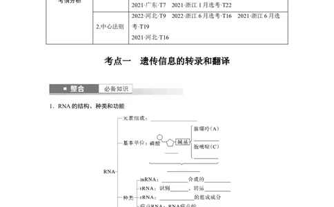第六单元　第31课时　基因的表达_2025年新高考资料_一轮复习_2025大一轮复习讲义+课件（完结）_2025大一轮复习讲义生物学生用书Word版文档整书_2025大一轮复习讲义