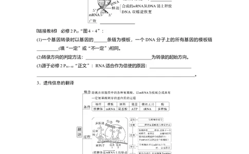 第六单元　第31课时　基因的表达_2025年新高考资料_一轮复习_2025大一轮复习讲义+课件（完结）_2025大一轮复习讲义生物学生用书Word版文档整书_2025大一轮复习讲义