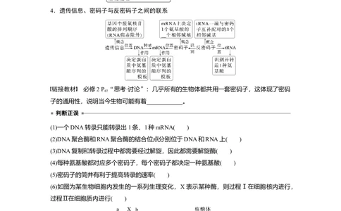 第六单元　第31课时　基因的表达_2025年新高考资料_一轮复习_2025大一轮复习讲义+课件（完结）_2025大一轮复习讲义生物学生用书Word版文档整书_2025大一轮复习讲义