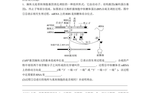 第六单元　第31课时　基因的表达_2025年新高考资料_一轮复习_2025大一轮复习讲义+课件（完结）_2025大一轮复习讲义生物学生用书Word版文档整书_2025大一轮复习讲义