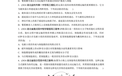 第二单元　课时练10物质进出细胞的方式及影响因素_2025年新高考资料_一轮复习_2025大一轮复习讲义+课件（完结）_2025大一轮复习讲义生物学生用书Word版文档整书_2025一轮复习73练