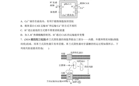 第二单元　课时练10物质进出细胞的方式及影响因素_2025年新高考资料_一轮复习_2025大一轮复习讲义+课件（完结）_2025大一轮复习讲义生物学生用书Word版文档整书_2025一轮复习73练