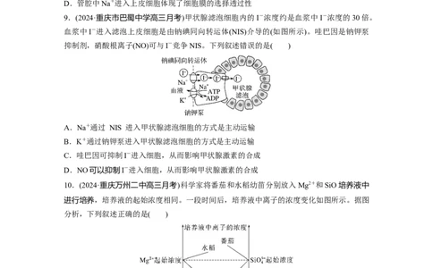 第二单元　课时练10物质进出细胞的方式及影响因素_2025年新高考资料_一轮复习_2025大一轮复习讲义+课件（完结）_2025大一轮复习讲义生物学生用书Word版文档整书_2025一轮复习73练