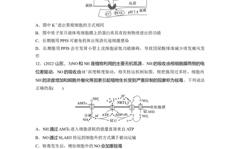 第二单元　课时练10物质进出细胞的方式及影响因素_2025年新高考资料_一轮复习_2025大一轮复习讲义+课件（完结）_2025大一轮复习讲义生物学生用书Word版文档整书_2025一轮复习73练