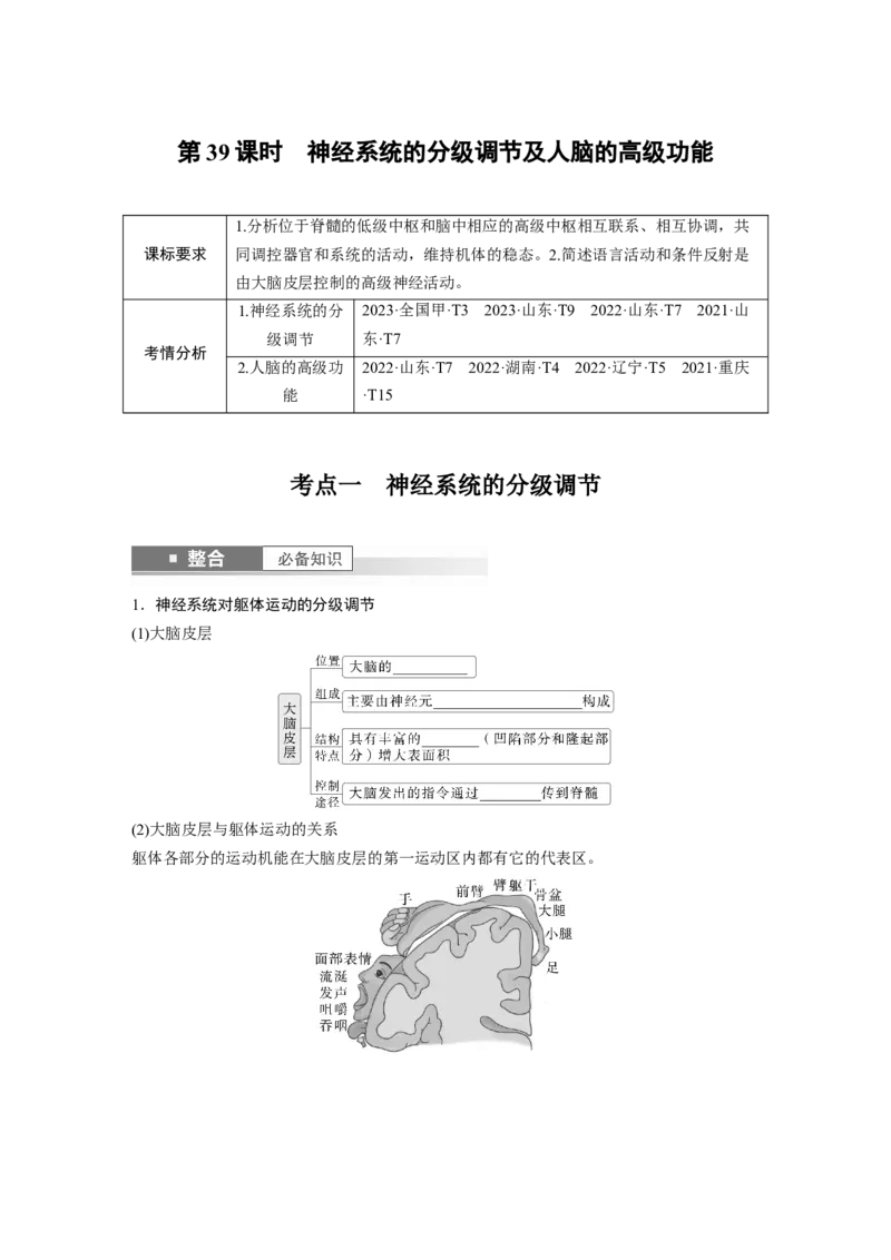 第八单元　第39课时　神经系统的分级调节及人脑的高级功能_2025年新高考资料_一轮复习_2025大一轮复习讲义+课件（完结）_2025大一轮复习讲义生物学生用书Word版文档整书