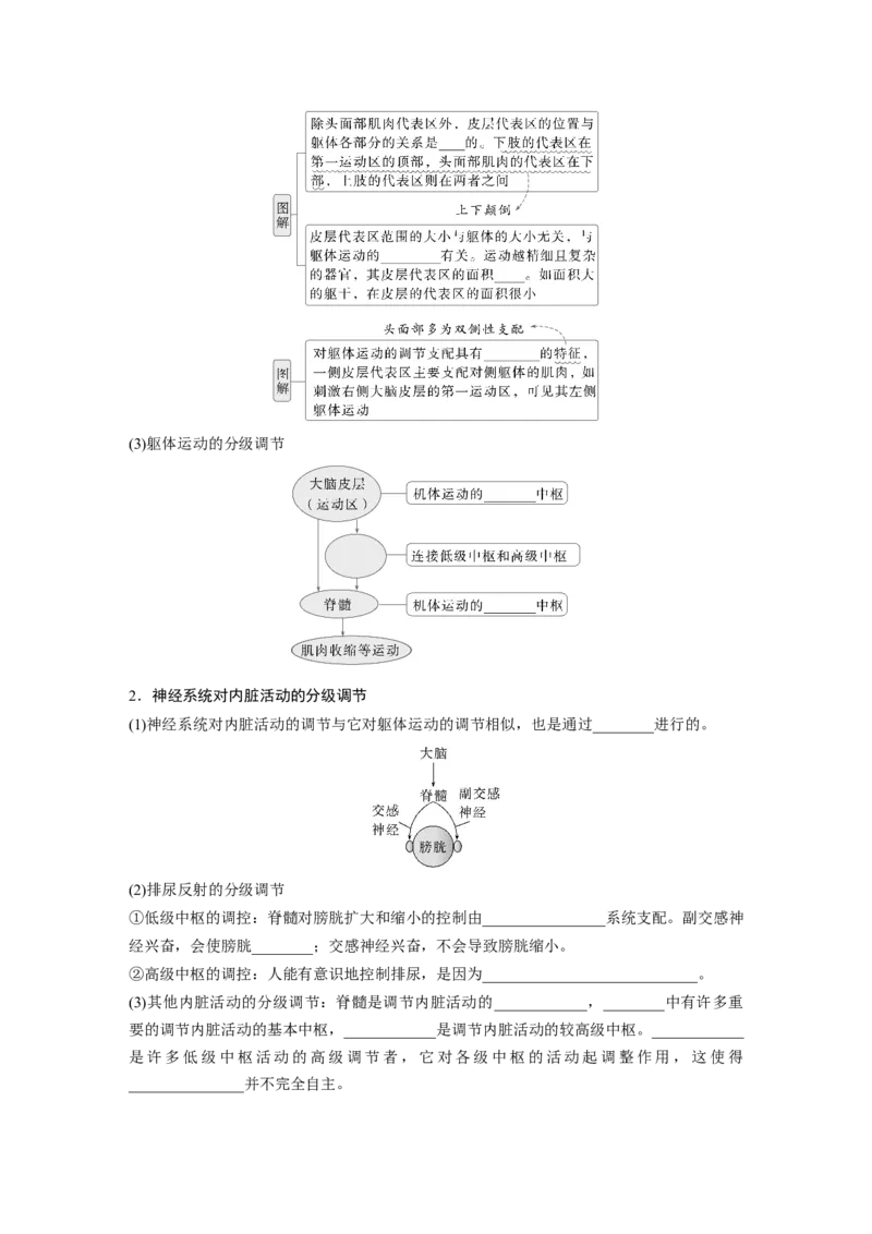 第八单元　第39课时　神经系统的分级调节及人脑的高级功能_2025年新高考资料_一轮复习_2025大一轮复习讲义+课件（完结）_2025大一轮复习讲义生物学生用书Word版文档整书