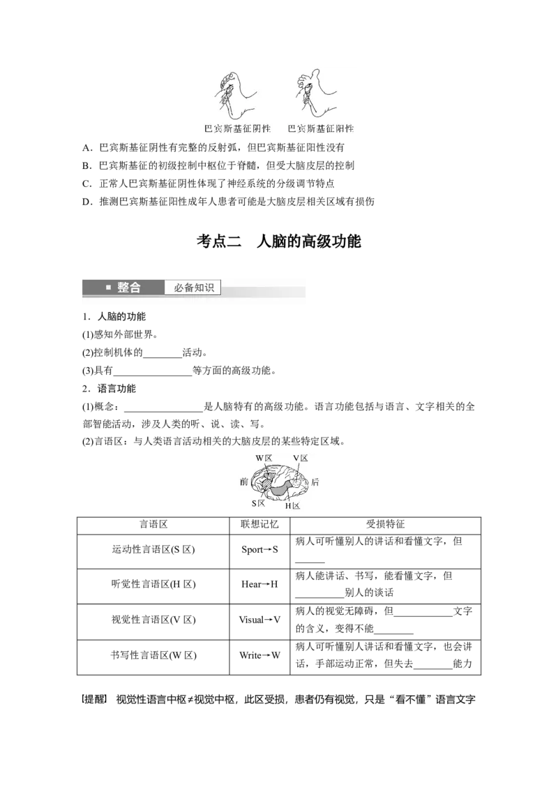 第八单元　第39课时　神经系统的分级调节及人脑的高级功能_2025年新高考资料_一轮复习_2025大一轮复习讲义+课件（完结）_2025大一轮复习讲义生物学生用书Word版文档整书