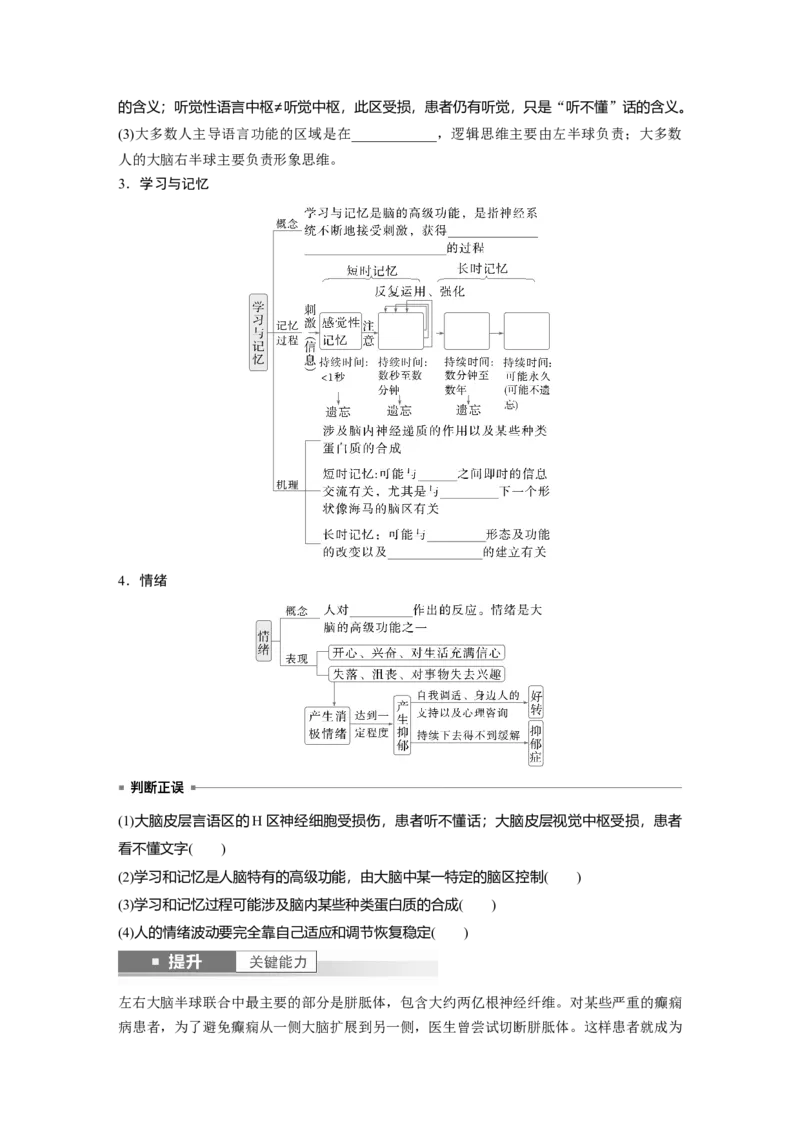 第八单元　第39课时　神经系统的分级调节及人脑的高级功能_2025年新高考资料_一轮复习_2025大一轮复习讲义+课件（完结）_2025大一轮复习讲义生物学生用书Word版文档整书