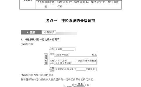 第八单元　第39课时　神经系统的分级调节及人脑的高级功能_2025年新高考资料_一轮复习_2025大一轮复习讲义+课件（完结）_2025大一轮复习讲义生物学生用书Word版文档整书
