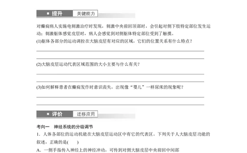 第八单元　第39课时　神经系统的分级调节及人脑的高级功能_2025年新高考资料_一轮复习_2025大一轮复习讲义+课件（完结）_2025大一轮复习讲义生物学生用书Word版文档整书