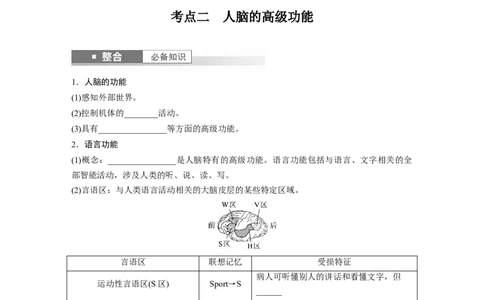 第八单元　第39课时　神经系统的分级调节及人脑的高级功能_2025年新高考资料_一轮复习_2025大一轮复习讲义+课件（完结）_2025大一轮复习讲义生物学生用书Word版文档整书