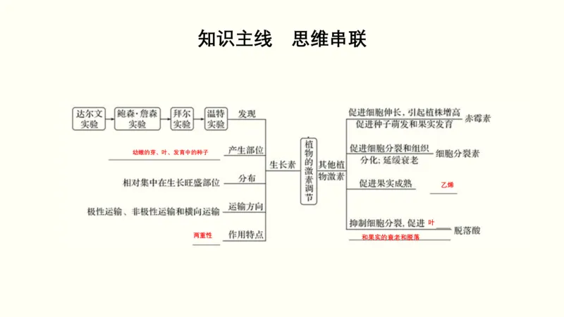 第九单元植物的激素调节（教案）_新高考复习资料_2022年新高考复习资料_2022届一轮复习讲练结合7.13更新_系列一_第九单元植物的激素调节