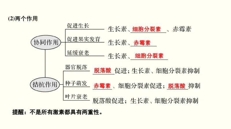 第九单元植物的激素调节（教案）_新高考复习资料_2022年新高考复习资料_2022届一轮复习讲练结合7.13更新_系列一_第九单元植物的激素调节
