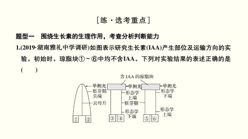 第九单元植物的激素调节（教案）_新高考复习资料_2022年新高考复习资料_2022届一轮复习讲练结合7.13更新_系列一_第九单元植物的激素调节