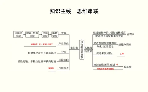 第九单元植物的激素调节（教案）_新高考复习资料_2022年新高考复习资料_2022届一轮复习讲练结合7.13更新_系列一_第九单元植物的激素调节