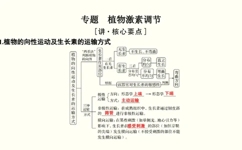 第九单元植物的激素调节（教案）_新高考复习资料_2022年新高考复习资料_2022届一轮复习讲练结合7.13更新_系列一_第九单元植物的激素调节