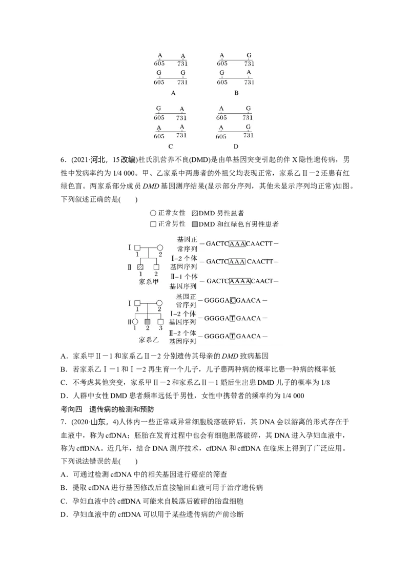第五单元　第28课时　伴性遗传和人类遗传病_2025年新高考资料_一轮复习_2025大一轮复习讲义+课件（完结）_2025大一轮复习讲义生物学生用书Word版文档整书_2025大一轮复习讲义