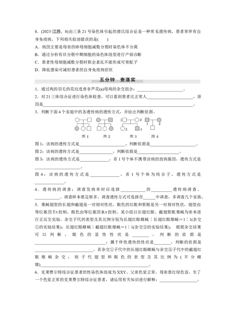 第五单元　第28课时　伴性遗传和人类遗传病_2025年新高考资料_一轮复习_2025大一轮复习讲义+课件（完结）_2025大一轮复习讲义生物学生用书Word版文档整书_2025大一轮复习讲义