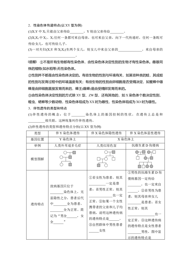 第五单元　第28课时　伴性遗传和人类遗传病_2025年新高考资料_一轮复习_2025大一轮复习讲义+课件（完结）_2025大一轮复习讲义生物学生用书Word版文档整书_2025大一轮复习讲义