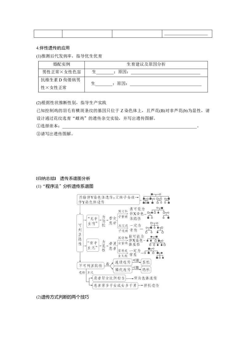 第五单元　第28课时　伴性遗传和人类遗传病_2025年新高考资料_一轮复习_2025大一轮复习讲义+课件（完结）_2025大一轮复习讲义生物学生用书Word版文档整书_2025大一轮复习讲义