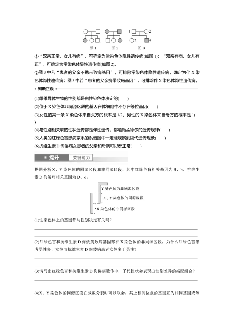 第五单元　第28课时　伴性遗传和人类遗传病_2025年新高考资料_一轮复习_2025大一轮复习讲义+课件（完结）_2025大一轮复习讲义生物学生用书Word版文档整书_2025大一轮复习讲义