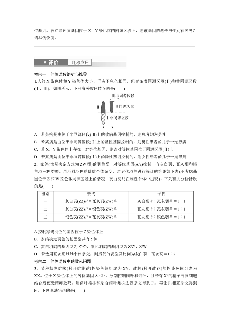 第五单元　第28课时　伴性遗传和人类遗传病_2025年新高考资料_一轮复习_2025大一轮复习讲义+课件（完结）_2025大一轮复习讲义生物学生用书Word版文档整书_2025大一轮复习讲义