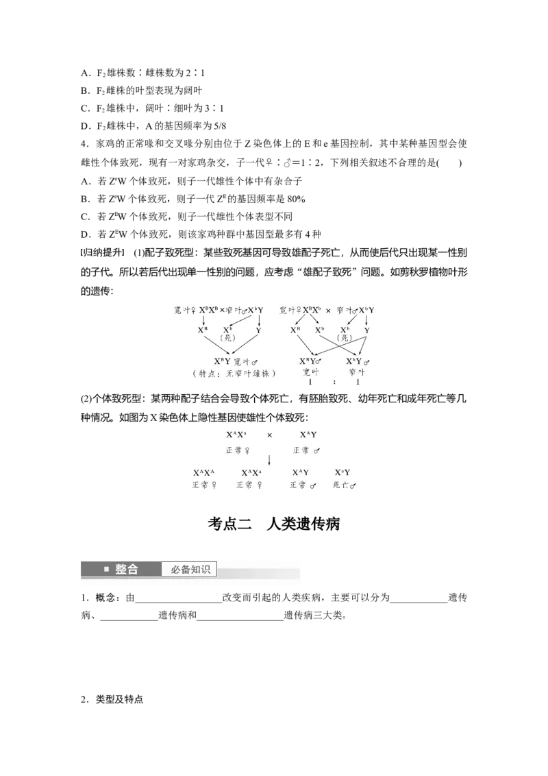 第五单元　第28课时　伴性遗传和人类遗传病_2025年新高考资料_一轮复习_2025大一轮复习讲义+课件（完结）_2025大一轮复习讲义生物学生用书Word版文档整书_2025大一轮复习讲义