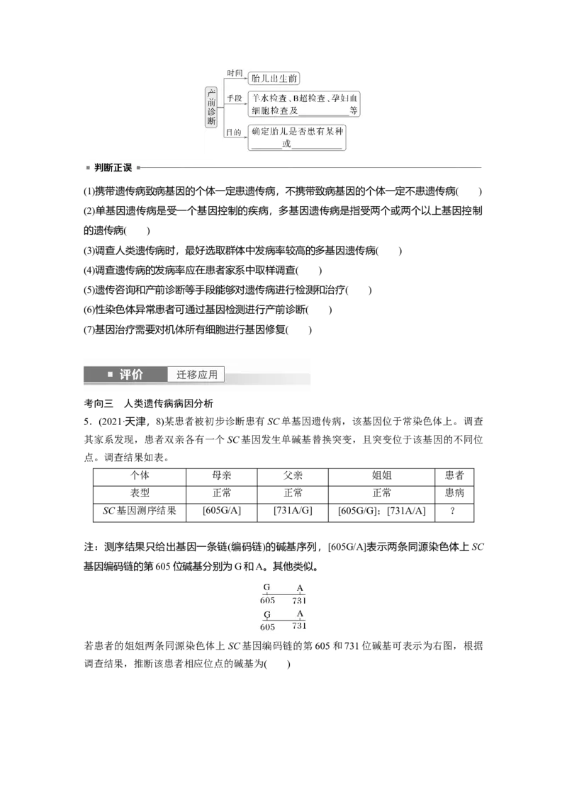 第五单元　第28课时　伴性遗传和人类遗传病_2025年新高考资料_一轮复习_2025大一轮复习讲义+课件（完结）_2025大一轮复习讲义生物学生用书Word版文档整书_2025大一轮复习讲义