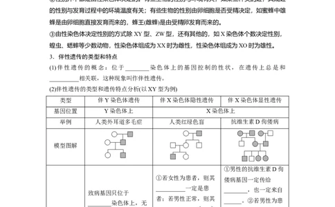 第五单元　第28课时　伴性遗传和人类遗传病_2025年新高考资料_一轮复习_2025大一轮复习讲义+课件（完结）_2025大一轮复习讲义生物学生用书Word版文档整书_2025大一轮复习讲义