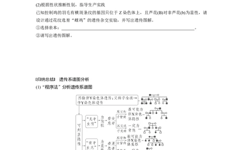 第五单元　第28课时　伴性遗传和人类遗传病_2025年新高考资料_一轮复习_2025大一轮复习讲义+课件（完结）_2025大一轮复习讲义生物学生用书Word版文档整书_2025大一轮复习讲义