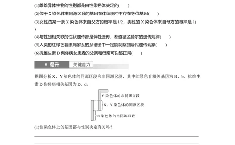 第五单元　第28课时　伴性遗传和人类遗传病_2025年新高考资料_一轮复习_2025大一轮复习讲义+课件（完结）_2025大一轮复习讲义生物学生用书Word版文档整书_2025大一轮复习讲义