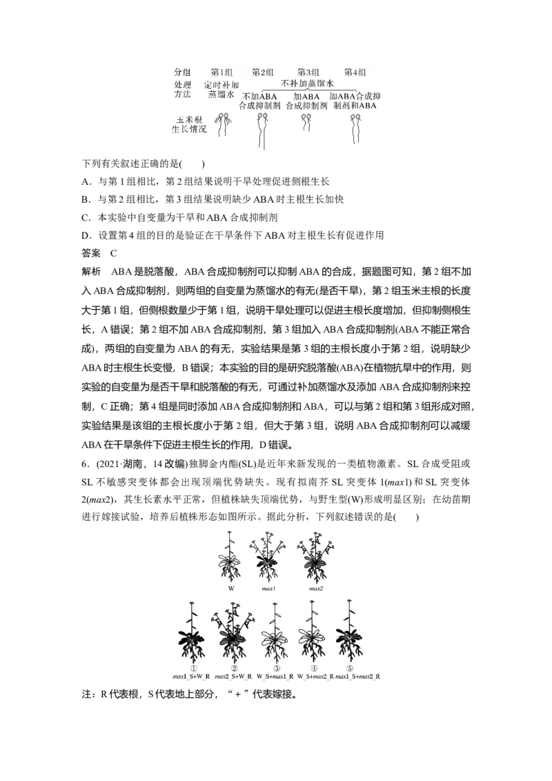 第八单元　第45课时　其他植物激素_2025年新高考资料_一轮复习_2025大一轮复习讲义+课件（完结）_2025大一轮复习讲义生物教师用书Word版文档整书_配套Word版文档第七~十单元