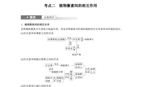 第八单元　第45课时　其他植物激素_2025年新高考资料_一轮复习_2025大一轮复习讲义+课件（完结）_2025大一轮复习讲义生物教师用书Word版文档整书_配套Word版文档第七~十单元