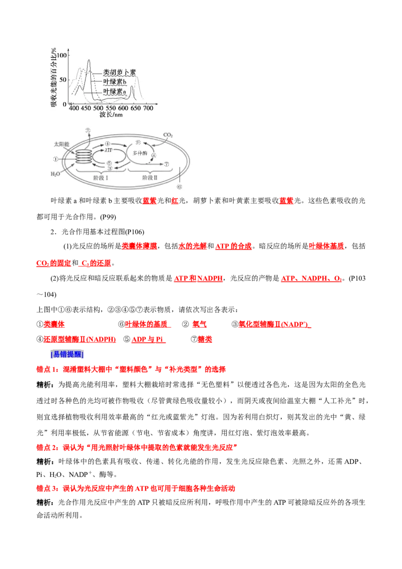 第5章细胞的能量供应和利用（背诵版）_2025年新高考资料_专项复习_晨读晚默备战2025年高考生物必背知识清单