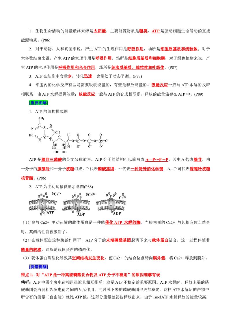 第5章细胞的能量供应和利用（背诵版）_2025年新高考资料_专项复习_晨读晚默备战2025年高考生物必背知识清单
