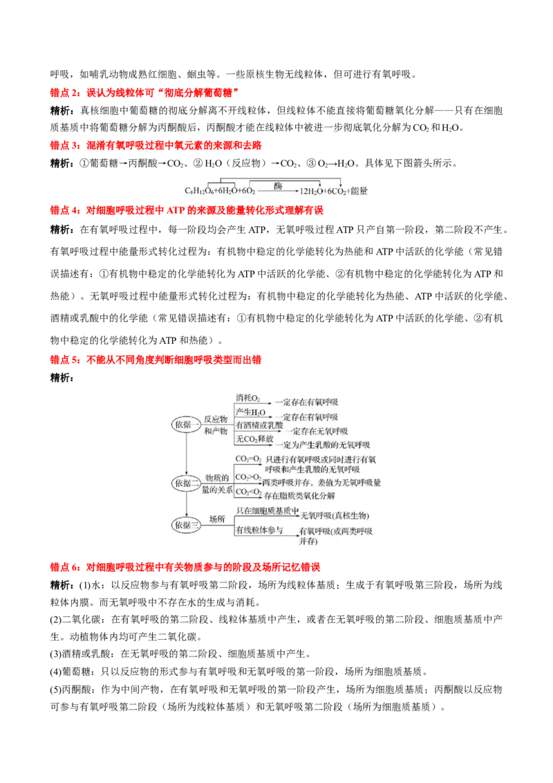 第5章细胞的能量供应和利用（背诵版）_2025年新高考资料_专项复习_晨读晚默备战2025年高考生物必背知识清单