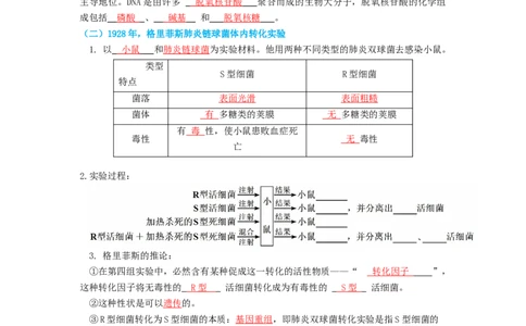 第6讲DNA是主要的遗传物质-精准备考备战2023年高考生物一轮复习精品讲义（生物学必修2）（解析版）_通用版（老高考）复习资料_2023年复习资料_一轮复习