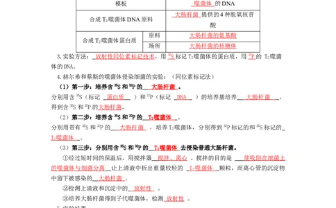 第6讲DNA是主要的遗传物质-精准备考备战2023年高考生物一轮复习精品讲义（生物学必修2）（解析版）_通用版（老高考）复习资料_2023年复习资料_一轮复习