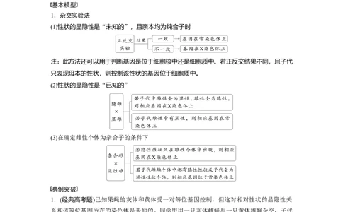 第五单元　专题突破8　基因在性染色体上的位置判断_2025年新高考资料_一轮复习_2025大一轮复习讲义+课件（完结）_2025大一轮复习讲义生物学生用书Word版文档整书_2025大一轮复习讲义