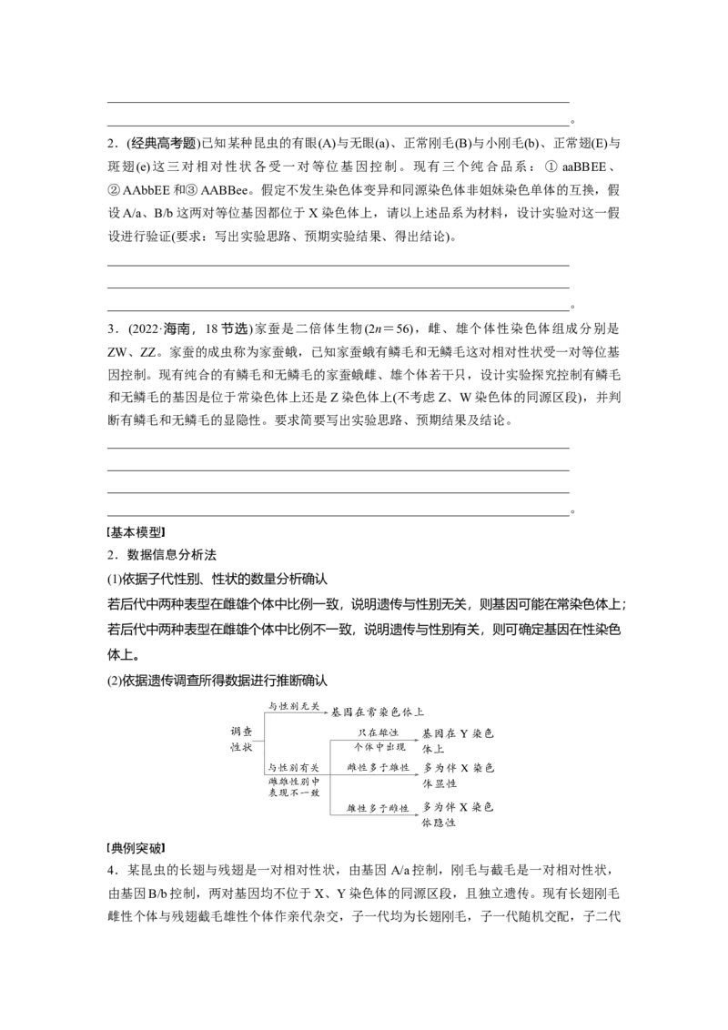 第五单元　专题突破8　基因在性染色体上的位置判断_2025年新高考资料_一轮复习_2025大一轮复习讲义+课件（完结）_2025大一轮复习讲义生物学生用书Word版文档整书_2025大一轮复习讲义