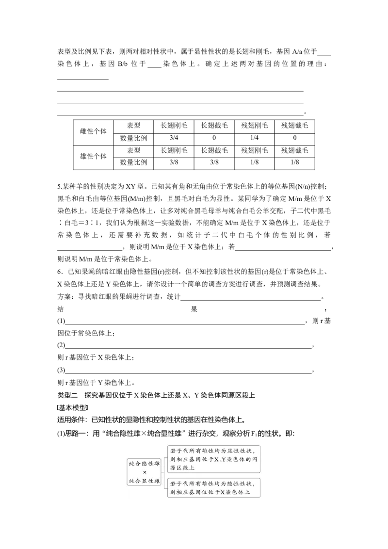 第五单元　专题突破8　基因在性染色体上的位置判断_2025年新高考资料_一轮复习_2025大一轮复习讲义+课件（完结）_2025大一轮复习讲义生物学生用书Word版文档整书_2025大一轮复习讲义